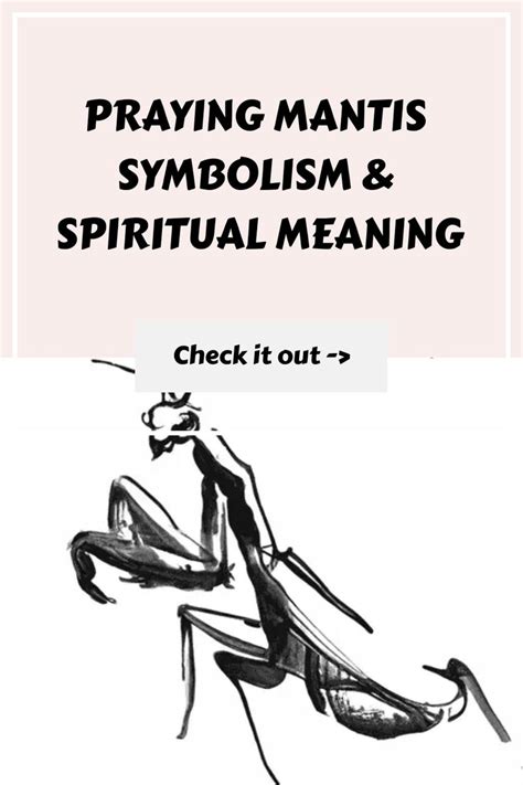 Exploring Common Explanations and Guidance for Individuals Encountering this Symbolism