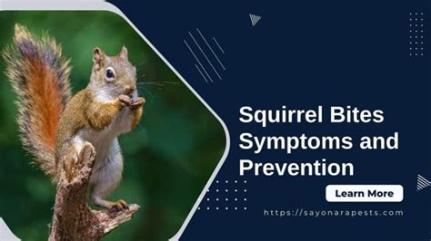 Exploring Common Themes and Messages Associated with Dreams of Squirrel Bites