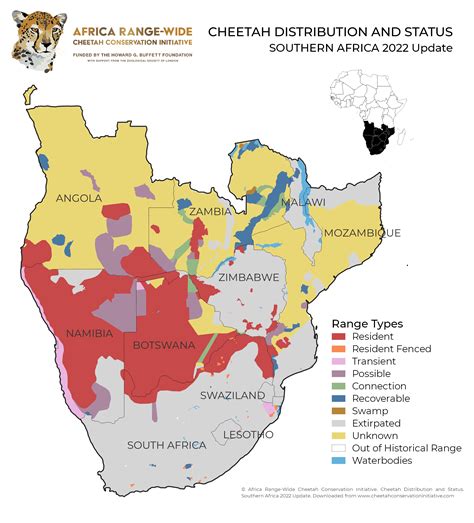 Exploring Conservation Initiatives: Protecting the Future of Cheetahs