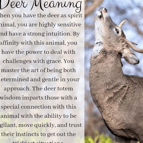 Exploring Cultural Beliefs: Deer Symbolism Across the World