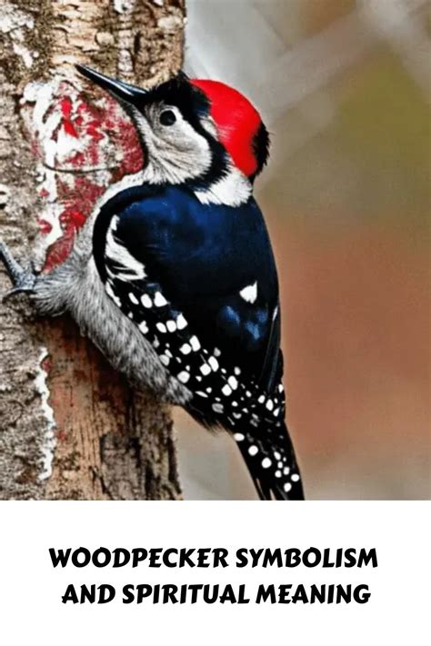 Exploring Cultural Significance: Woodpecker Symbolism around the World