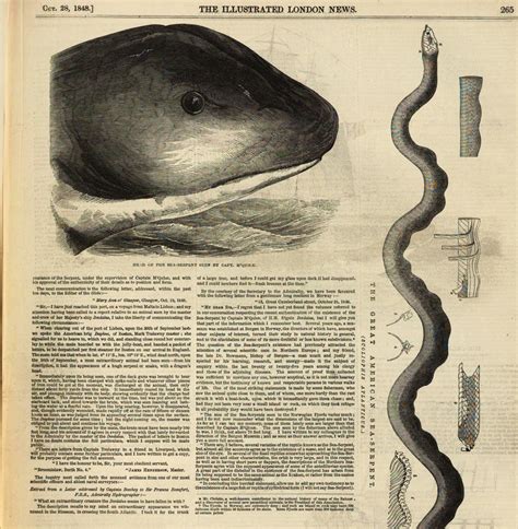 Exploring Cultural and Historical Perspectives on Symbolic Representations of a Pale Serpent's Cranium