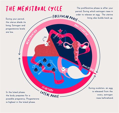 Exploring Cultural and Historical Perspectives on Symbolism Associated with the Menstrual Cycle