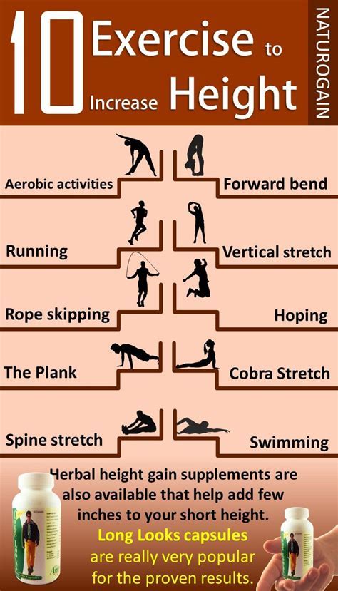 Exploring Daisey's Verticality, Physique Measurements, and Exercise Regimen