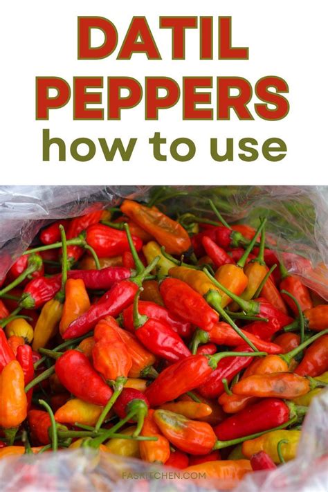 Exploring Delectable Recipes Showcasing the Zesty and Invigorating Essence of Pepper Fruit