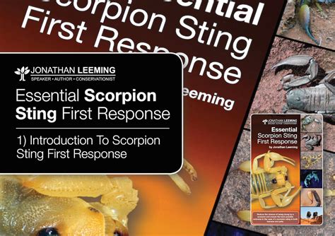 Exploring Different Emotional Responses to Scorpion Sting Encounters in Dreamscapes