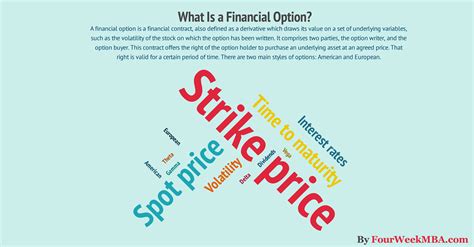 Exploring Different Financial Options