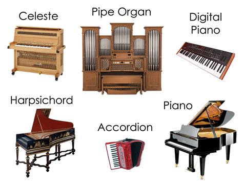 Exploring Different Instruments: From Strings to Keyboards