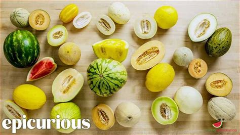 Exploring Different Melon Varieties: A Comprehensive Guide