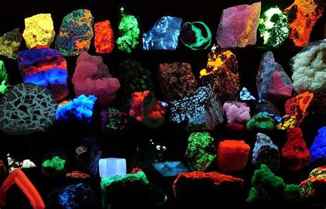 Exploring Different Types of Crystal Glow: Fluorescence, Phosphorescence, and Bioluminescence