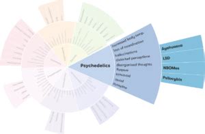 Exploring Different Types of Psychedelics and Their Effects