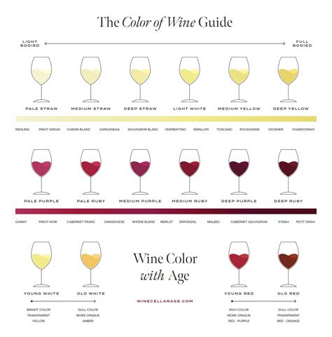 Exploring Different Varieties of Wine: From Red to White