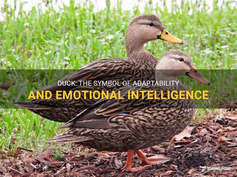 Exploring Ducks as a Symbol of Adaptability and Flexibility