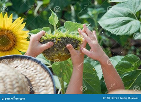 Exploring Eliin Flowers' Early Years and Childhood