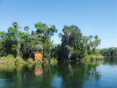 Exploring Florida's Natural Wonders: From Everglades to Crystal Clear Springs