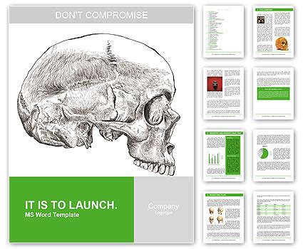 Exploring Healing and Self-Discovery through the Personal Interpretations of a Crushed Skull Vision