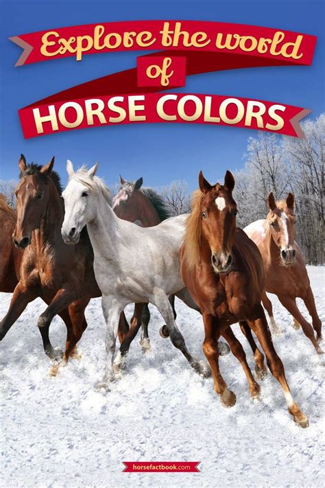 Exploring Horse Color and Characteristics in the Analysis of Dream Symbols