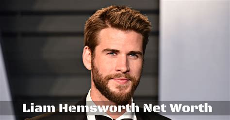 Exploring Liam's Lav: Net Worth