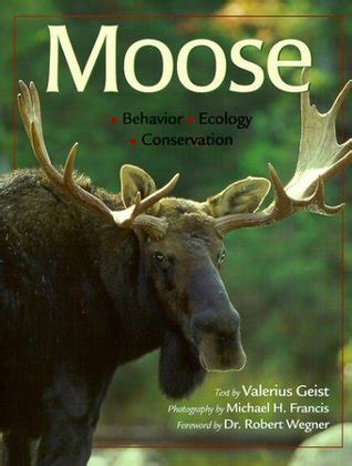 Exploring Moose Behavior and Social Structure