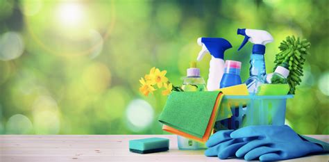 Exploring Natural and Eco-Friendly Cleaning Options