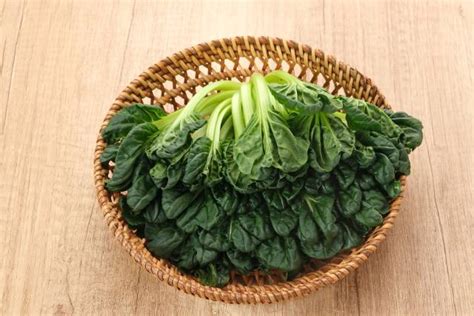 Exploring Nature's Bounty: A Guide to the Nutrient-packed World of Leafy Greens