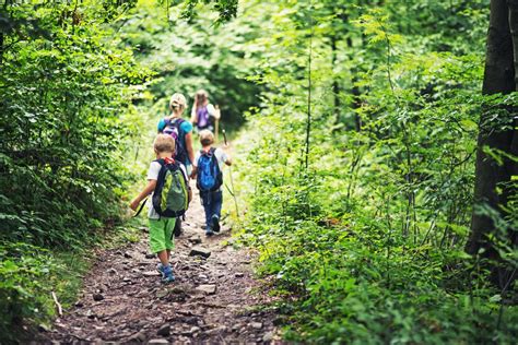 Exploring Nature: Must-Try Hiking Trails and Activities