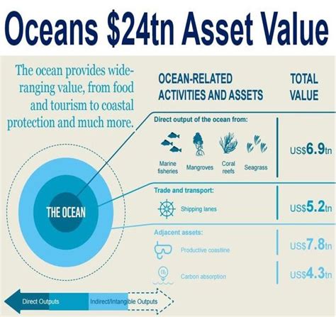 Exploring Ocean Bloom's Wealth and Assets