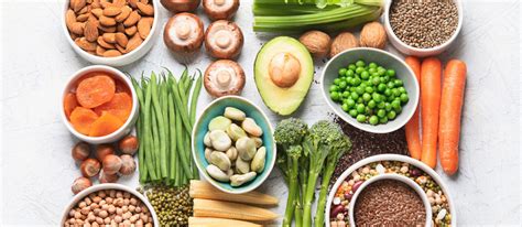 Exploring Plant-Based Proteins: Fulfilling Your Nutritional Requirements Without Animal Products