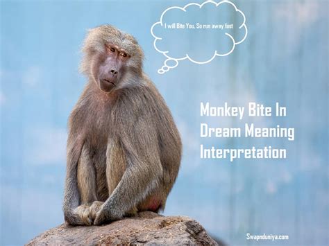 Exploring Potential Outcomes and Reactions to Monkey Bite Dreams