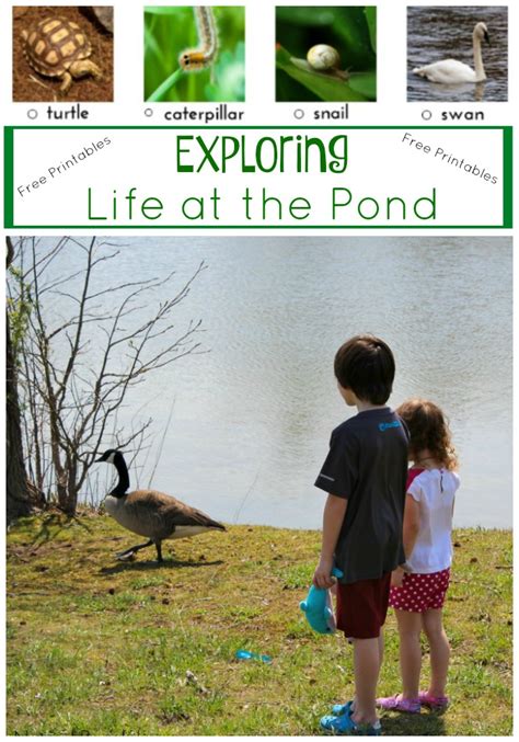 Exploring Prudence Pond's Personal Life