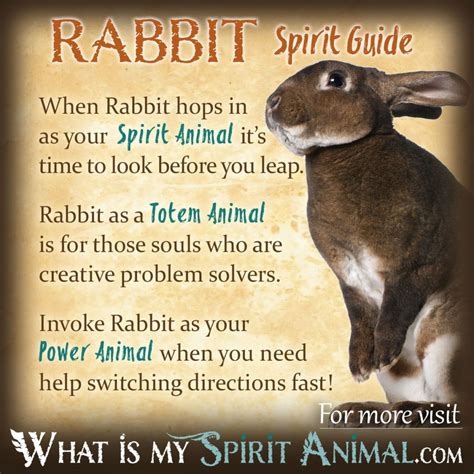 Exploring Rabbit Dreams: Illuminating Personal Development and Metamorphosis