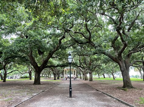 Exploring Savannah's Personal Journey