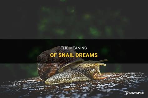 Exploring Snail Dreams: A Path to Personal Growth