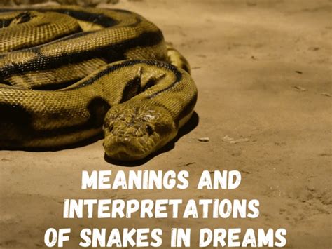 Exploring Snake Dreams Across Different Cultures