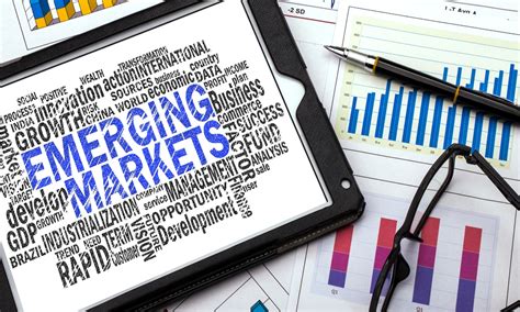 Exploring Untapped Markets: Thriving in Emerging Industries