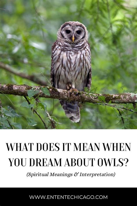 Exploring Various Connotations of Dreaming About an Enormous Owl