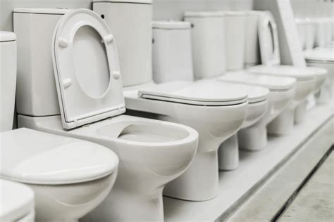 Exploring Various Types of Toilets