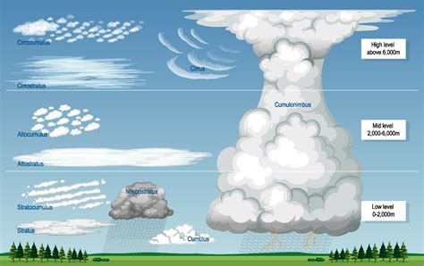 Exploring Viivi Clouds’ Physical Appearance and Height