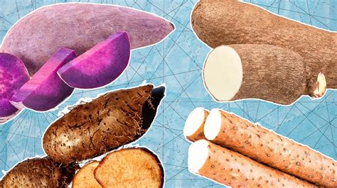 Exploring Yam Varieties: Understanding the Differences Between Different Types