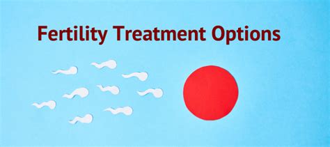 Exploring fertility treatments and options