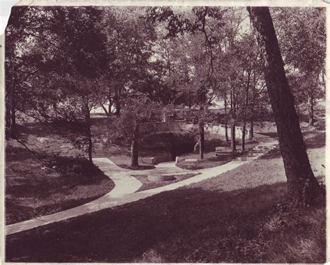 Exploring the Age of Shelby Park