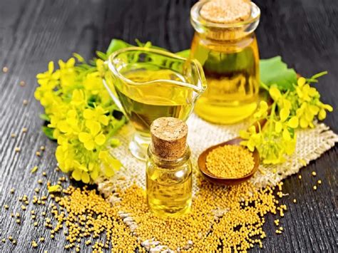 Exploring the Anti-inflammatory Properties of Mustard Oil