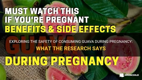 Exploring the Antioxidant Properties of Guava during Pregnancy