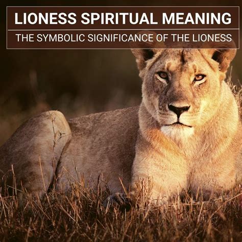 Exploring the Archetypal Representation of the Feminine: In Search of the Lioness