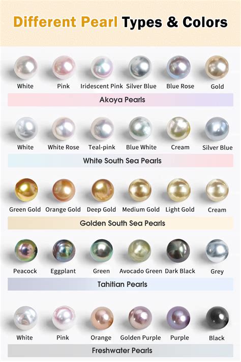 Exploring the Array of Pearl Varieties: Discovering Your Ideal Match