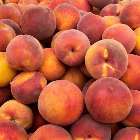 Exploring the Beauty of Peaches