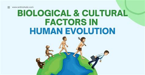 Exploring the Biological and Evolutionary Factors