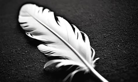 Exploring the Black Feather: Unveiling Its Meaning as a Symbol of Transformation and Shield