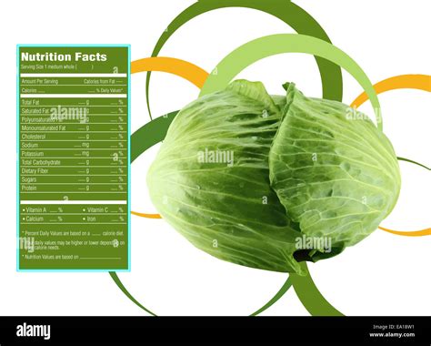 Exploring the Budget-Friendly Solution: Embrace the Nutritional and Flavorful Green Cabbage