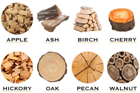 Exploring the Characteristics of Different firewood Types